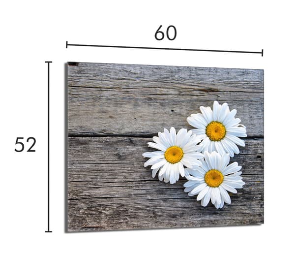 Lasinen suojalevy liedelle 60x52 Daisy