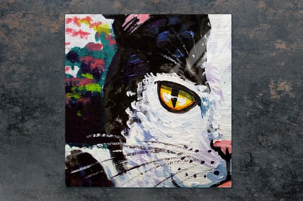GLASSKYDDSPLÅT FÖR SPIS 50x52 KAT
