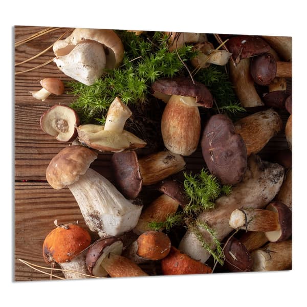 KEITTIÖN LASIPANEELI 65x60 Sienet