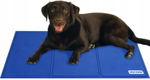 KOANNI KØLEMÅTTE TIL HUND 100x70