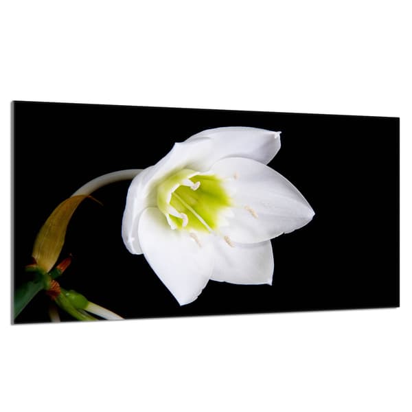 Lasinen suojalevy liedelle 90x52 Orchidea