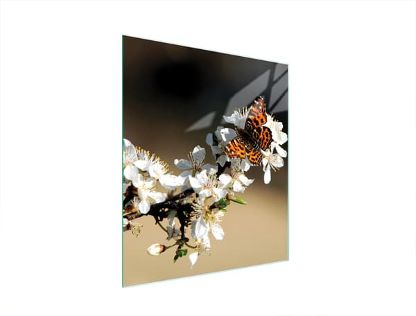 GLAS SKÄRBRÄDA 45x52 PLOMMON
