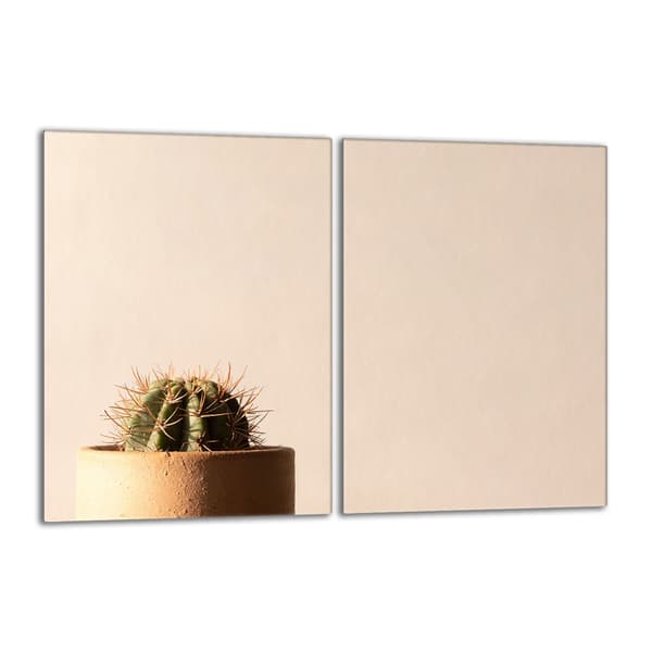 Lasinen suojalevy liedelle 2x40x52 Cactus