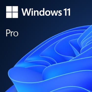 Microsoft Windows 11 Professional 64-bitars DVD OE-operativsystem