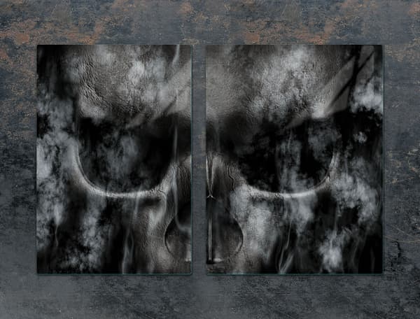 GLASSKYDDSPLÅT 75x52 SKALL