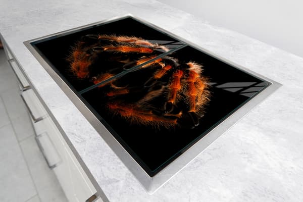 GLASSKYDDSPLÅT FÖR SPIS 85x52 SPIDER