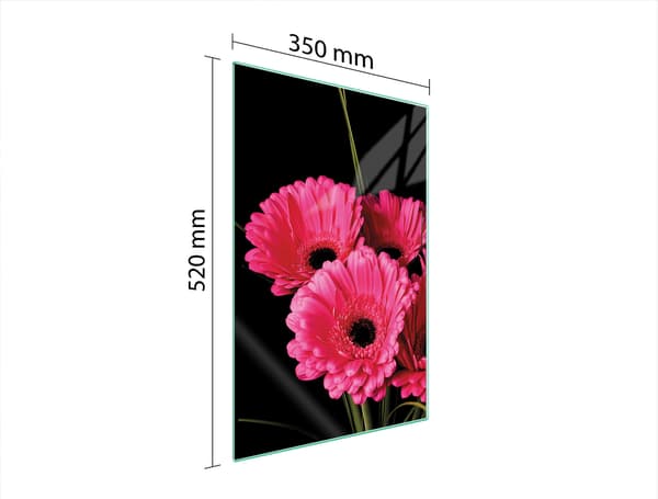 GLASSKÆREBRÆT 35x52 GERBERA