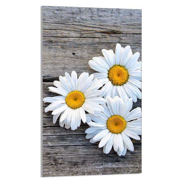 SKÄRBRÄDA I GLAS 30x52 Daisy