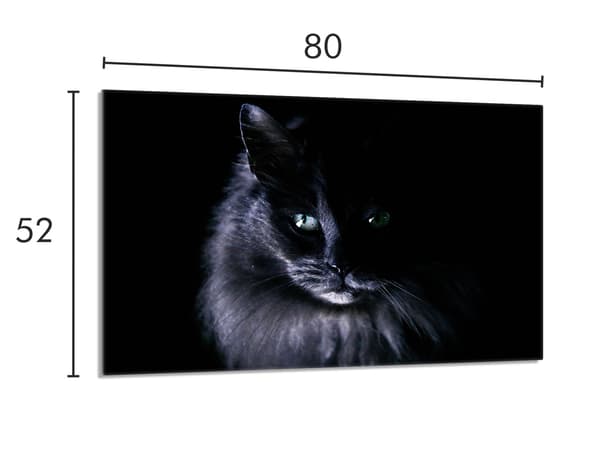 Lasinen suojalevy liedelle 80x52 Cat