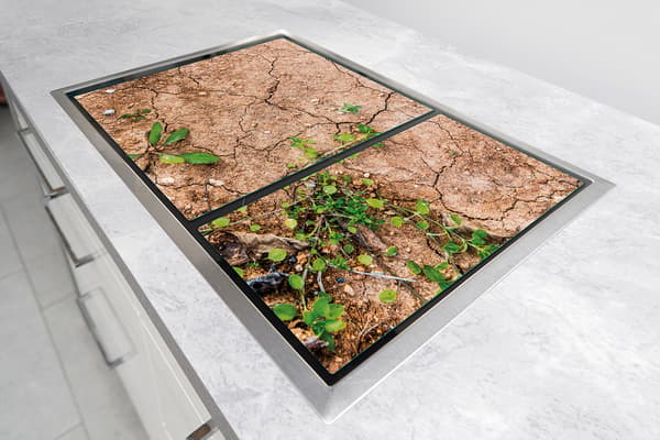 GLASSKYDDSPLÅT FÖR SPIS 75x52 VÄXTER