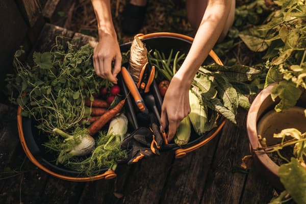 Fiskars plus svampkorg för grönsaks- och fruktskörd