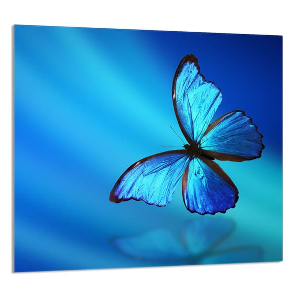 GLASPANEL TIL KØKKEN 65x60 Butterfly