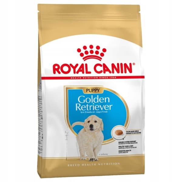 SHN Breed Golden Retr Jun 12kg