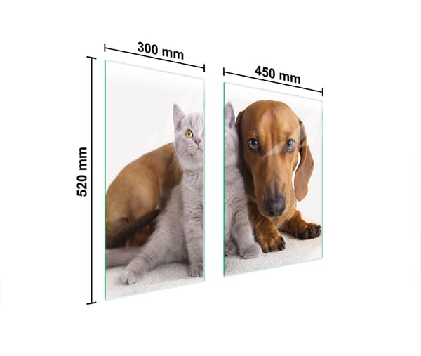 GLASSKYDDSPLÅT 75x52 DJUR