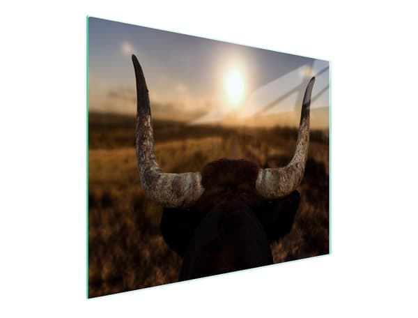 GLAS SKÆREBRÆT 52x30 SOL