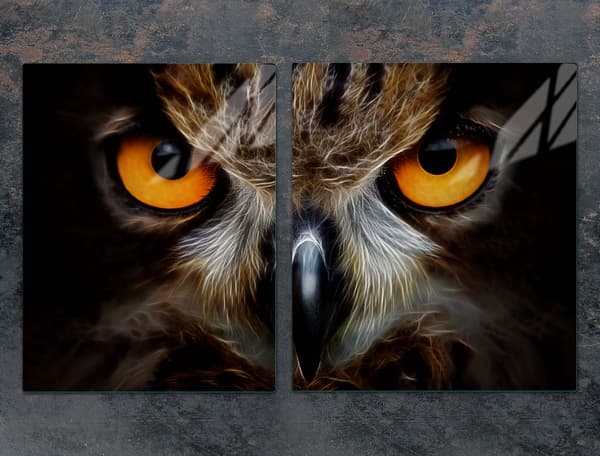 LASINEN SUOJALEVY LIEDELLE 85x52 OWL