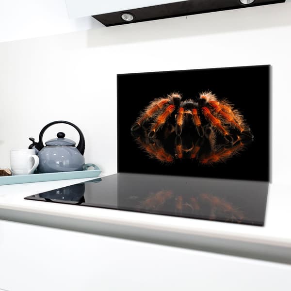 Lasinen suojalevy liedelle 80x52 Spider