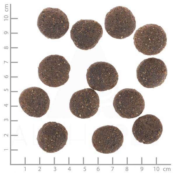 WOLFSBLUT Range Lamb Adult torrfoder för hundar 12,5 kg