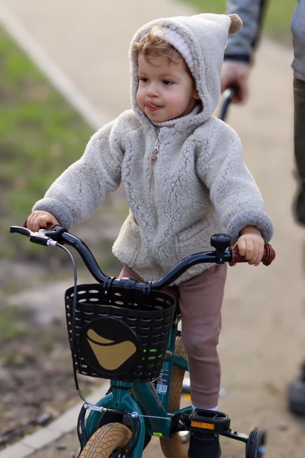 Cykelgreb til pusher, brun