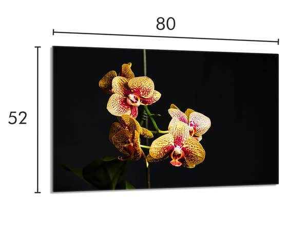 Lasinen suojalevy liedelle 80x52 Orchidea