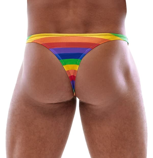 Svenjoyment Herre Regnbue Thong S
