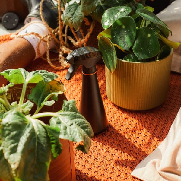 FISKARS Handspruta Atomizer Flaska för Blommor 0,3L