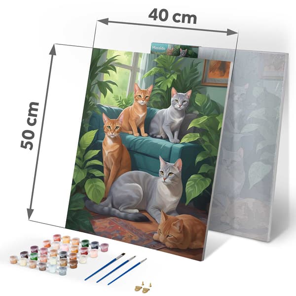 Mal efter nummer billede 40x50 cm Massido Katte
