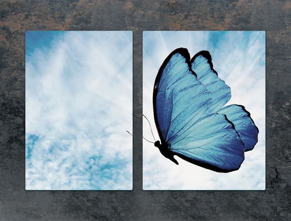 GLASBESKYTTELSESPLADE 75x52 BUTTERFLY