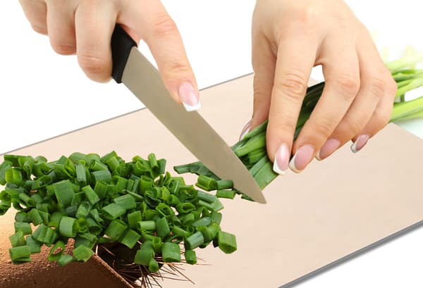 SKÄRBRÄDA I GLAS 40x52 Kaktus