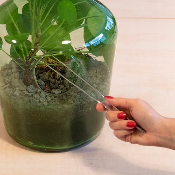 Glaspincet til planter (terrarium)