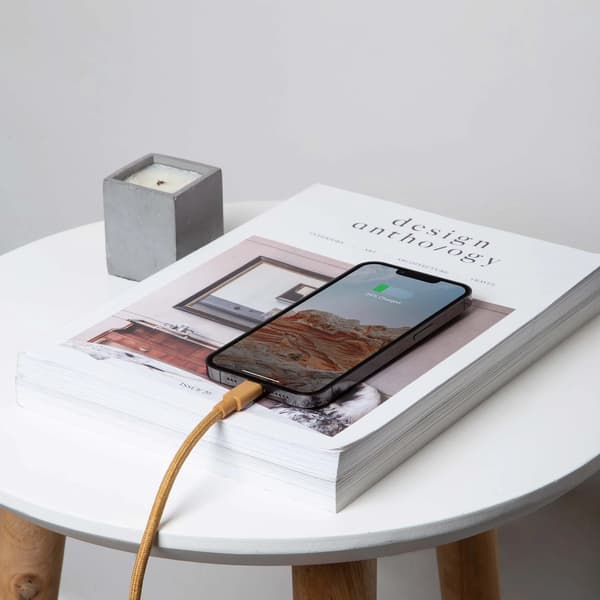 Native Union bæltekabel XL - USB-C - lightning-kabel, 3 m (zebra)