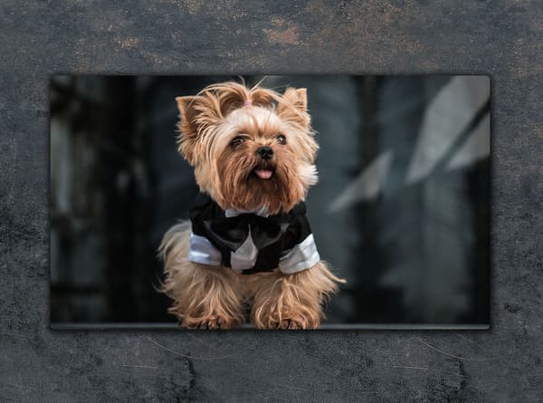 GLAS SKÆREBRÆT 52x30 HUND