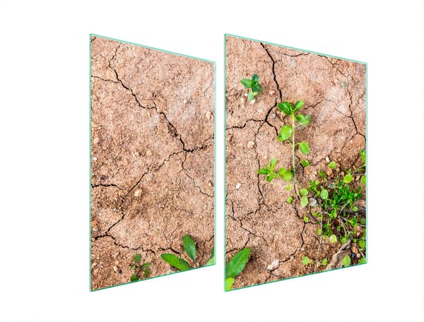 GLASBESKYTTELSESPLADE TIL KOMFUR 70x52 PLANTER