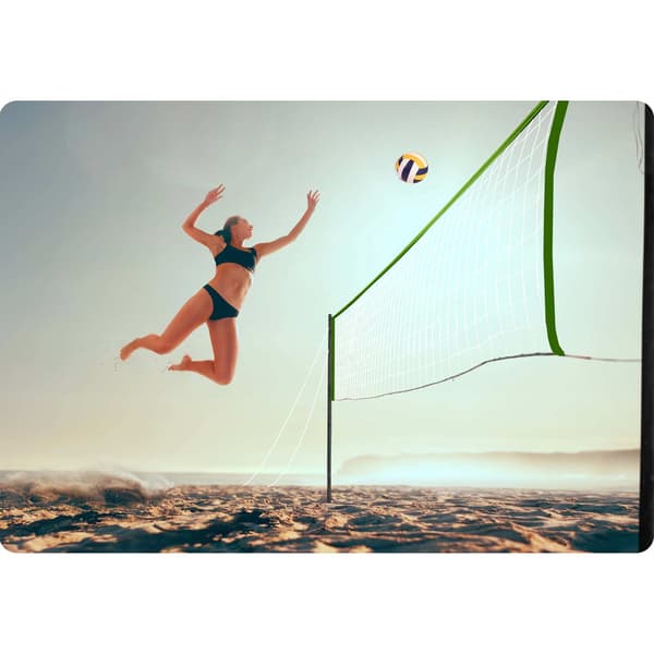 Net og ramme til volleyball og badminton 570 cm