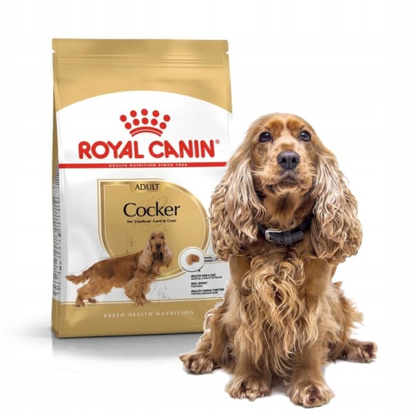 Royal Canin SHN Breed Cocker torrfoder för hundar 12 kg