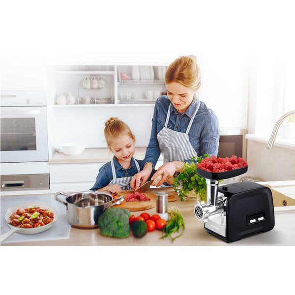 Köttkvarn BD-601A Berdsen 450/1200W