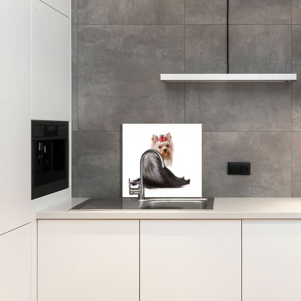 KEITTIÖN LASIPANEELI 65x60 Koira