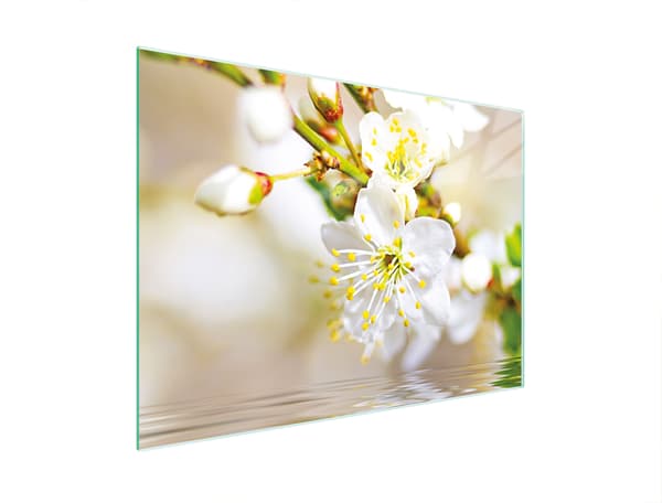 GLAS SKÄRBRÄDA 30x22 PLOMMON