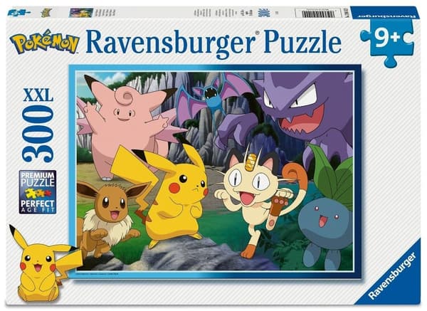 2D-palapeli lapsille: Pokemon 300 palaa