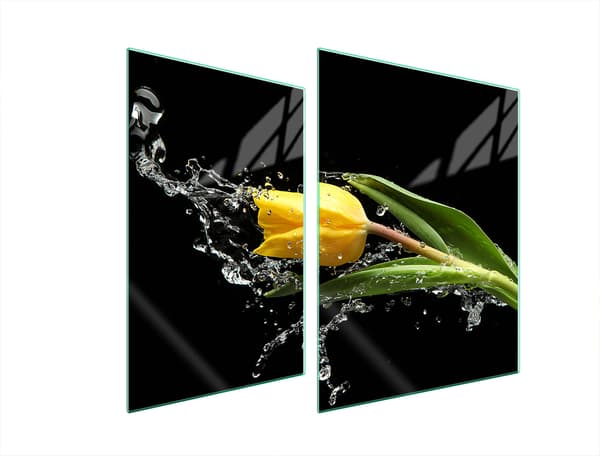 GLASSKYDDSPLÅT FÖR SPIS 70x52 TULIP