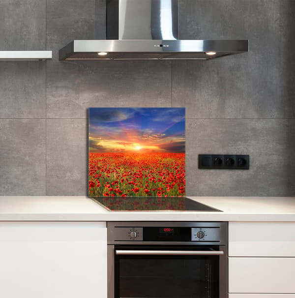 KEITTIÖN LASIPANEELI 65x60 Maki
