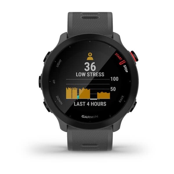 Garmin Forerunner 55 harmaa (010-02562-13)