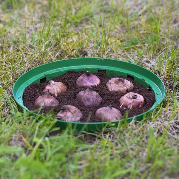 18 cm rund blomkorg | Gräsgrön