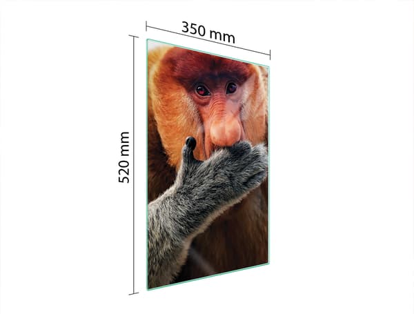 SKÄRBRÄDA I GLAS 35x52 NOSACZ