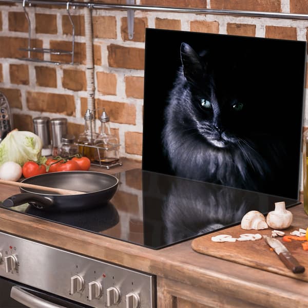 Lasinen suojalevy liedelle 60x52 Cat