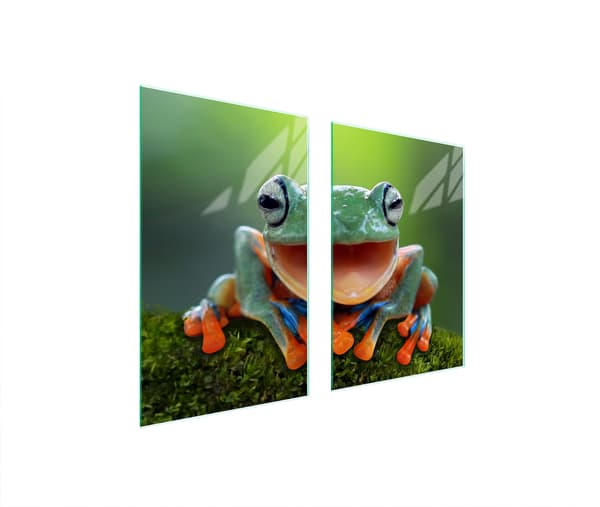 GLASSKYDDSPLATTA FÖR KÖK 65x52 FROG
