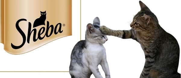 SHEBA vådfoder til katte med fjerkræsmag i gelé 80x85g