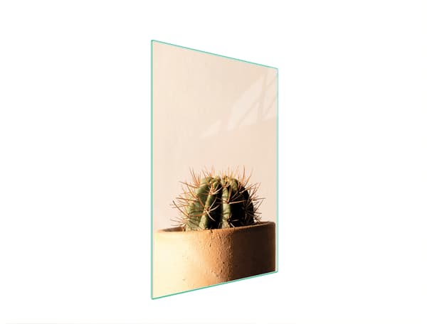 GLAS SKÆREBRÆT 35x52 KAKTUS