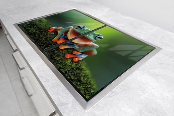 GLASBESKYTTELSESPLADE 75x52 FROG