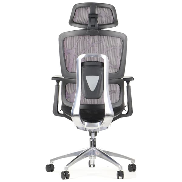 ErgoNew A1 -verkkoistuin